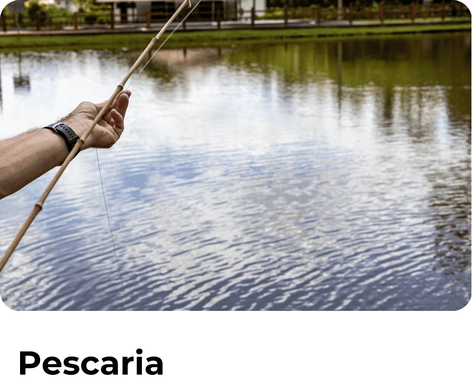 Pescaria